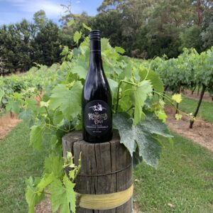 2024 Sangiovese Tempranillo