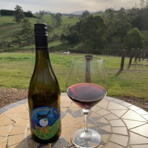 2023 Over the Moon Shiraz
