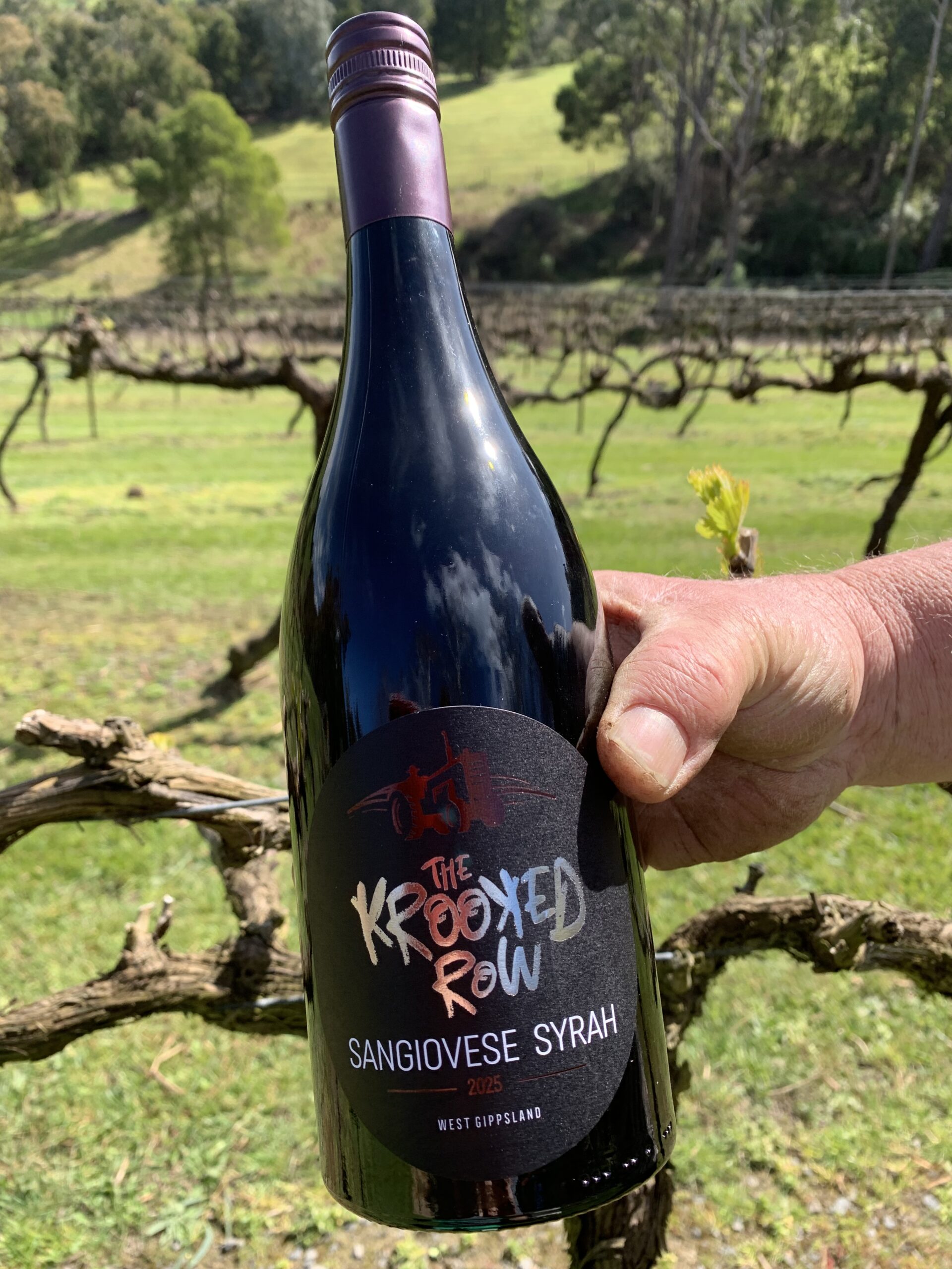 2025 Sangiovese Syrah