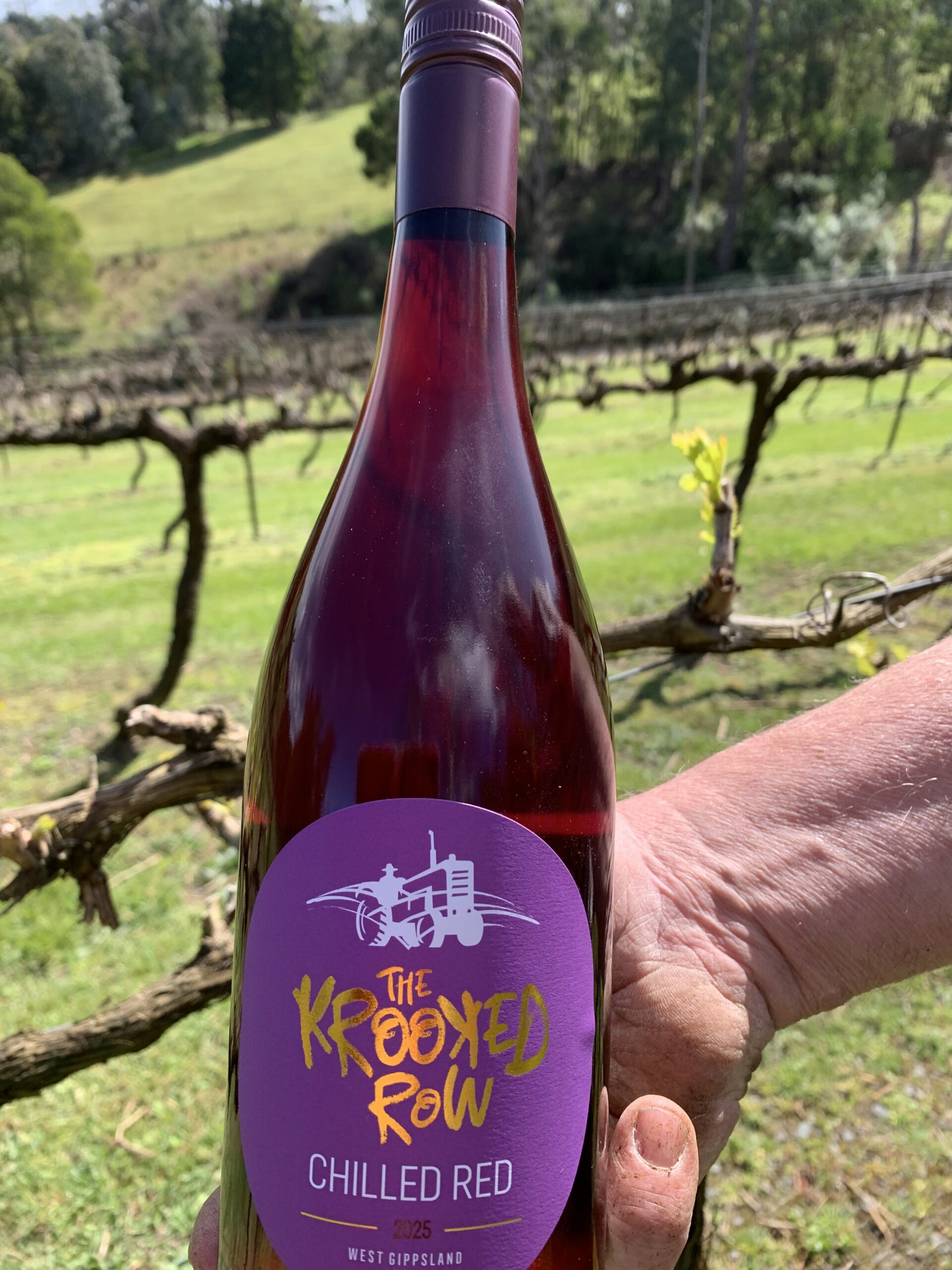 2025 Chilled Red